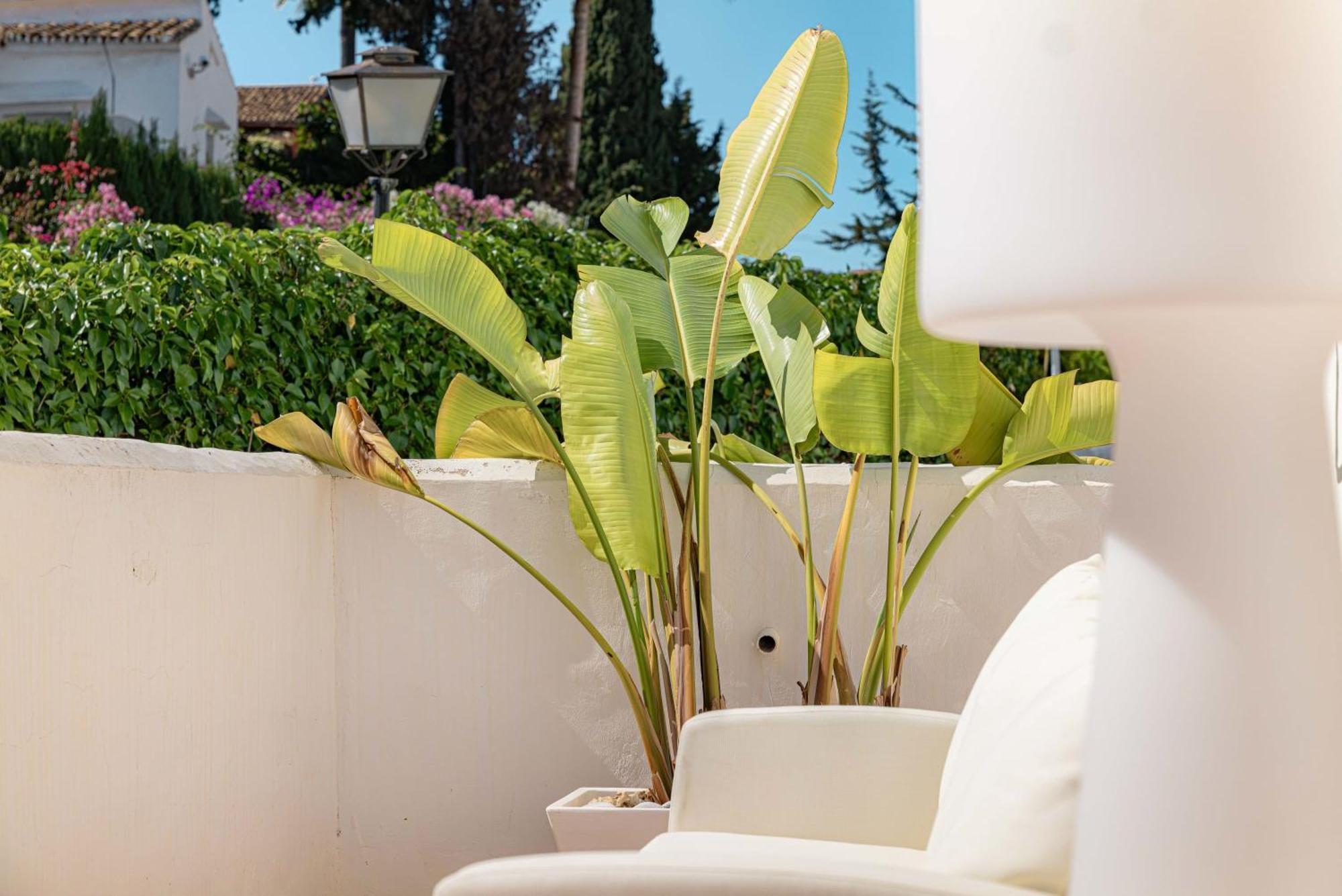 Ivy 3 Modern Bbq Gated Pool Apartment *